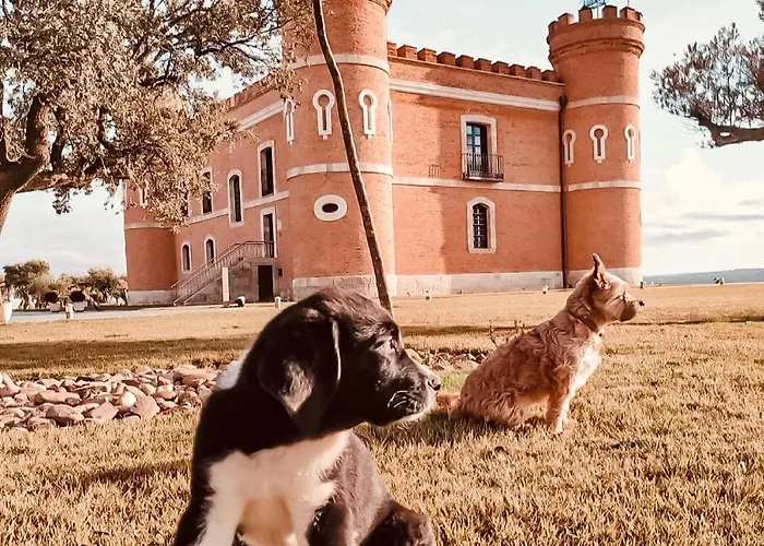 Castillo De Monte La Reina Posada Real & Bodega